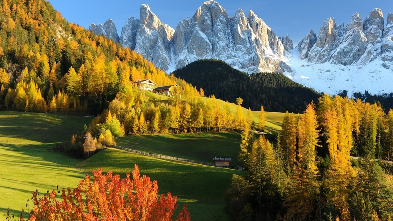 autumn, colors, season, trees, landscape