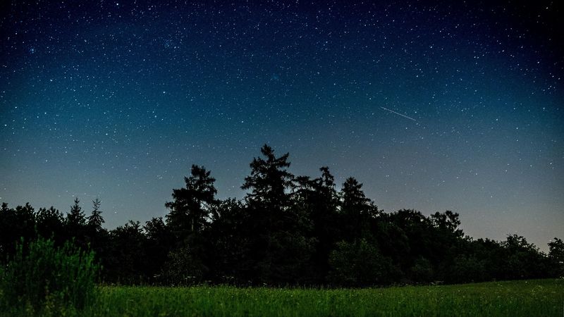 starry sky, trees, night, field, 4k