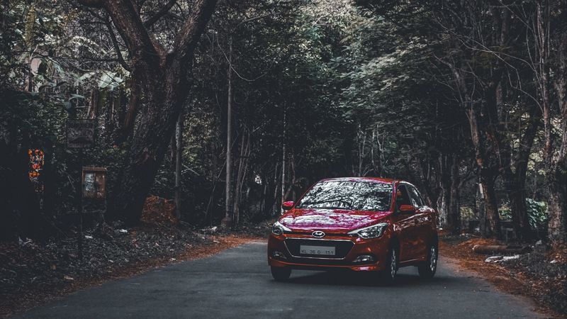 hyundai i20, hyundai, forest, road, 4k