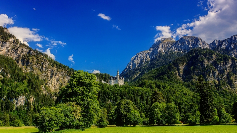 forest, rocks, bavaria, grass, germany, trees, sky, mountain, neuschwanstein, summer, castle