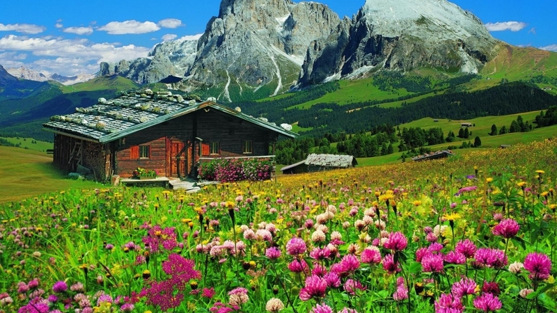 cottage, mountains, flowers, nature, clouds, field, landscape