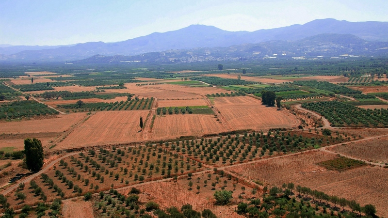 nature, fields, trees