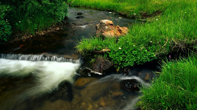 grass, beautiful, stones, nice, cool, water, green, peaceful, nature, river