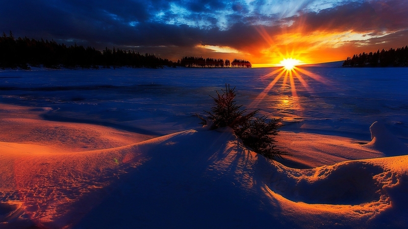forest, snow, nature, sunset, clouds, winter, landscape