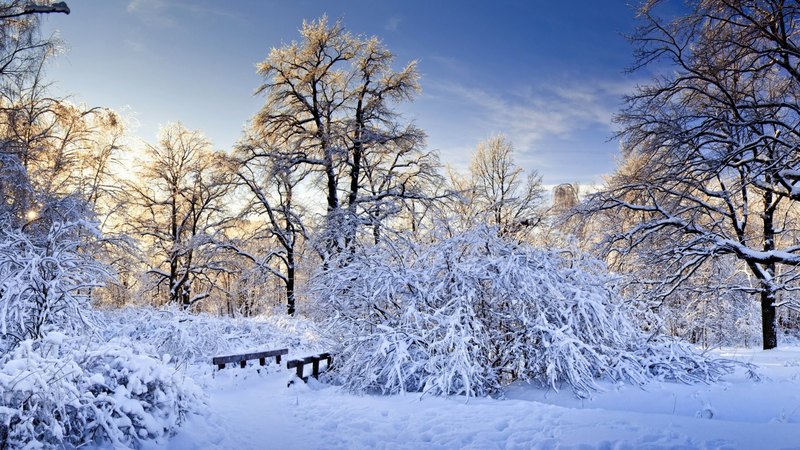 snow, nature, winter time, clouds, snowy, sky, winter