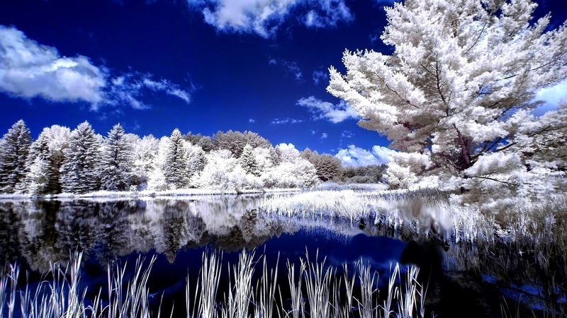 snow, nature, reflection, trees, clouds, lake, winter