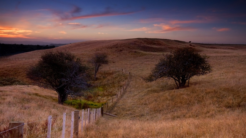 fence, hills, fields, sunset, trees