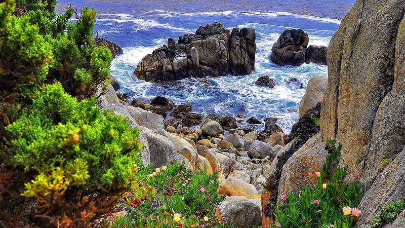 rocks, shore, grass, ocean, waves, stones, slope, flowers, nature