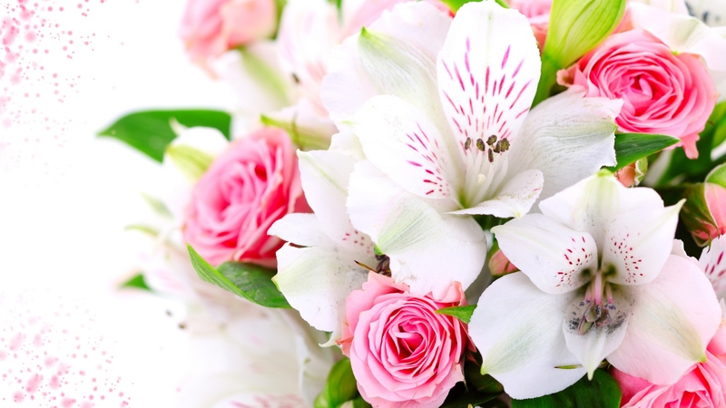 with love, pretty, rose, beautiful, still life, photography, leaves, nice, green, flowers, beauty, for you, pink, harmony, lovely, romantic, white flowers, romance, soft, delicate, roses, pink roses, pink rose, bouquet, orchid, nature, petals, white