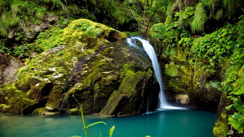 forest, rocks, fall, quiet, grass, greenery, beautiful, emerald, calm, serenity, waterfall, nature