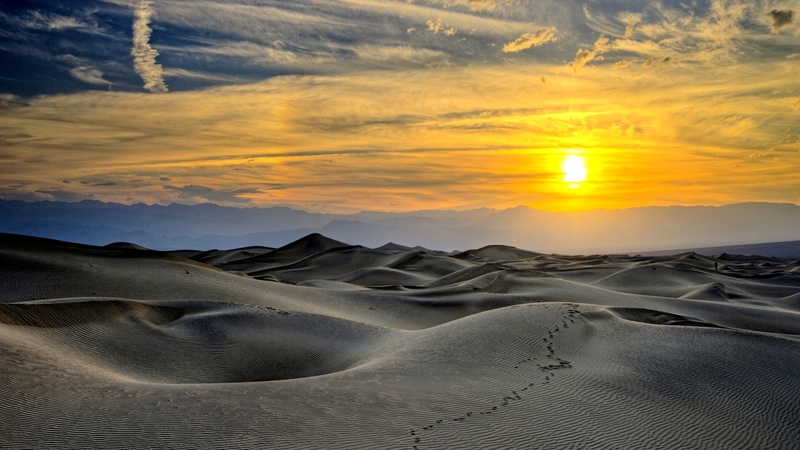 sunset, desert, footprints, golden