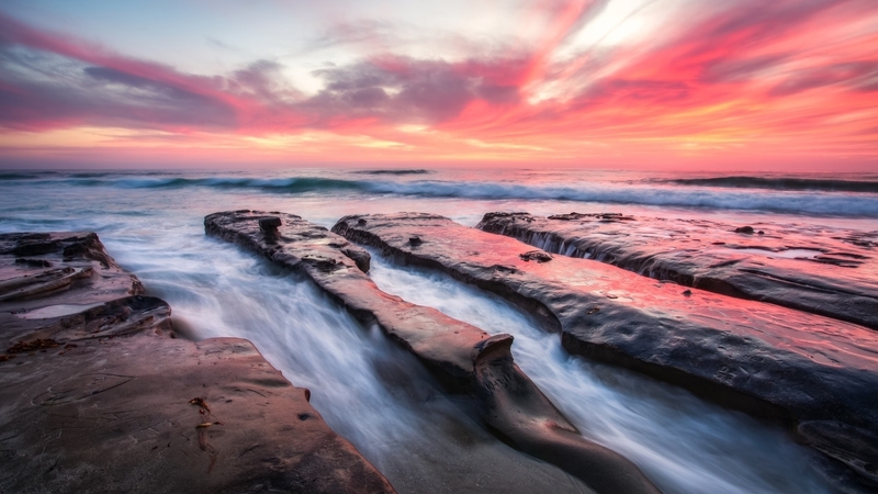 tree, water, ocean, nature, sunset