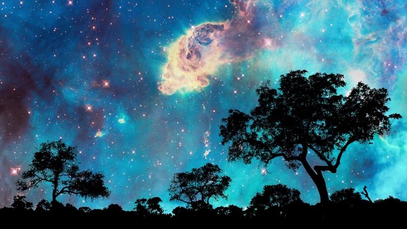 nature, sky, starry, night