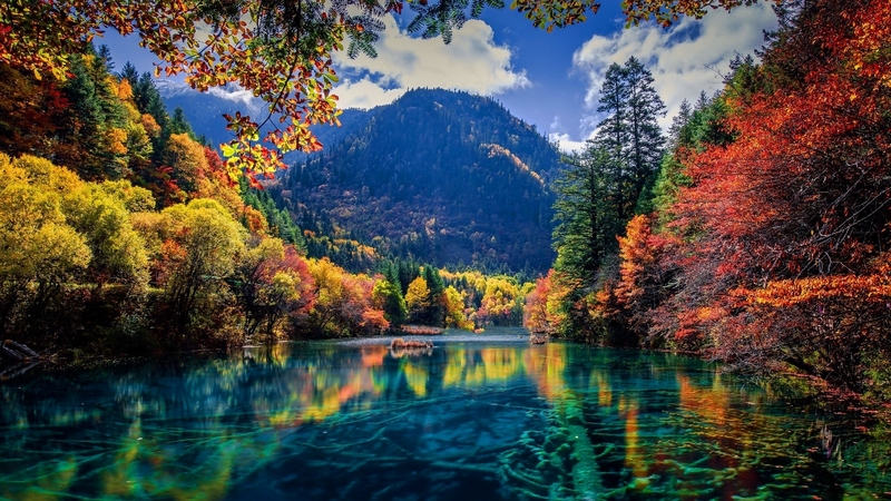 hills, forest, fall, autumn, colors, beautiful, trees, lake, mountain, tranquil, serenity, river, reflection, landscape