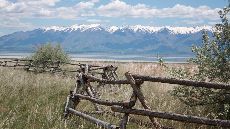 mountain, fence, horizon, field