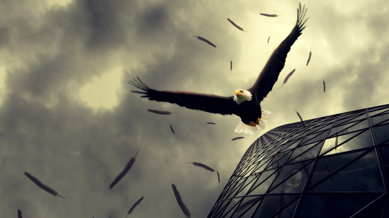 fly, 3d, eagle, birds, freedom, abstract