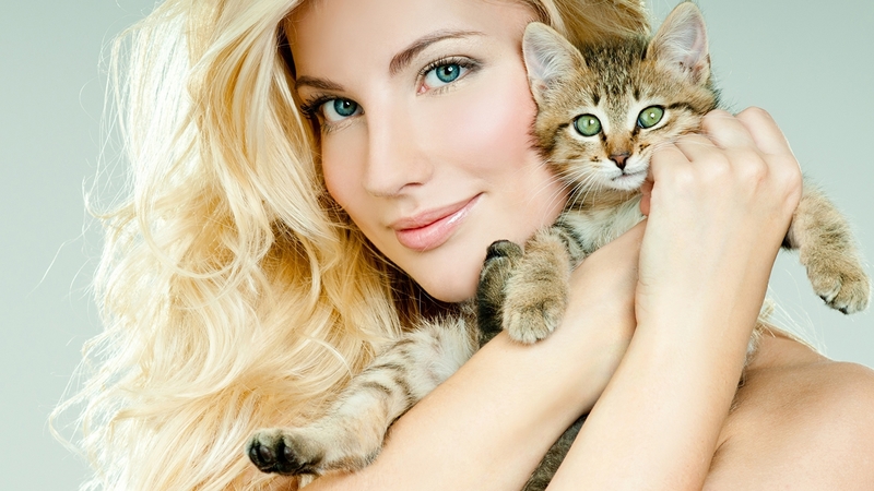 model, blonde, cat, woman, animal, cute, girl, hand, face, kitten, pisica