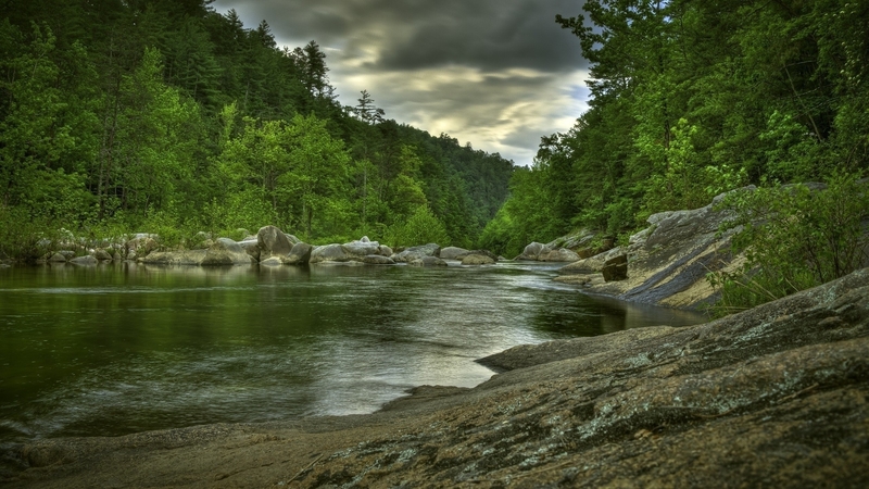 forest, rocks, green, river, hdr, clouds, overcast