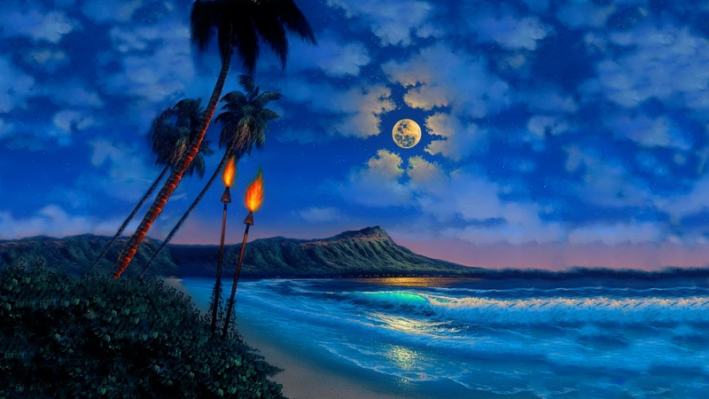 art, shore, dusk, beautiful, waves, sky, palms, lights, sea, beach, moon, moonlight, evening, reflection, tropics, night