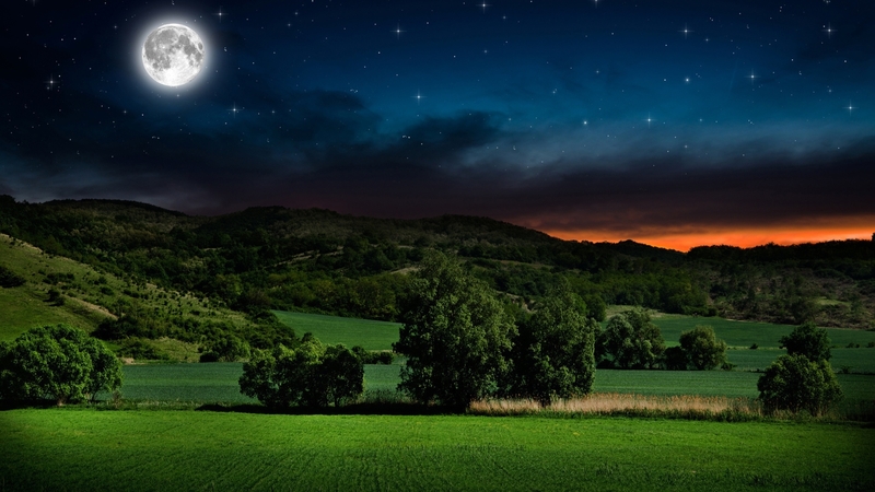 moon, sunset, trees, sky, night, landscape