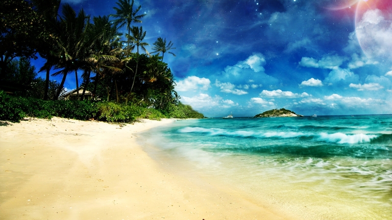 beach, summer, tree, grass