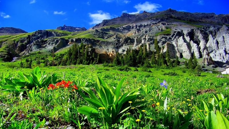 hills, pretty, grass, greenery, beautiful, sky, freshness, mountain, paradise, wildflowers, summer