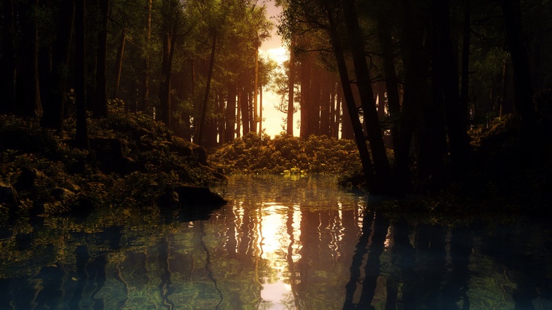 dark, nature, trees, abstract, lake