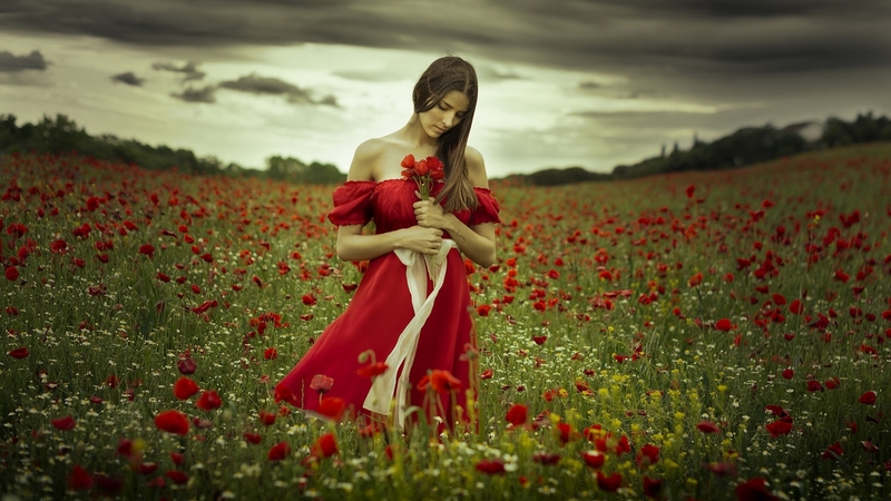 photography, girl, poppies, beauty, beautiful, woman, field