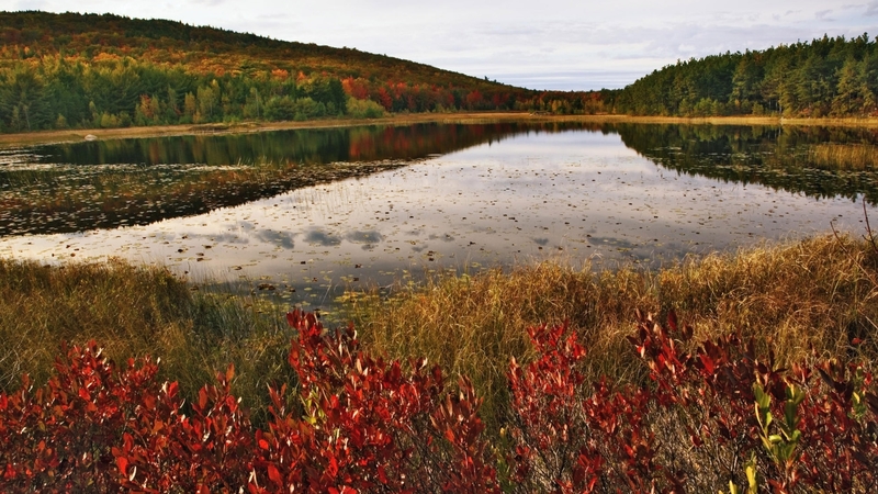 national, acadia, maine, park