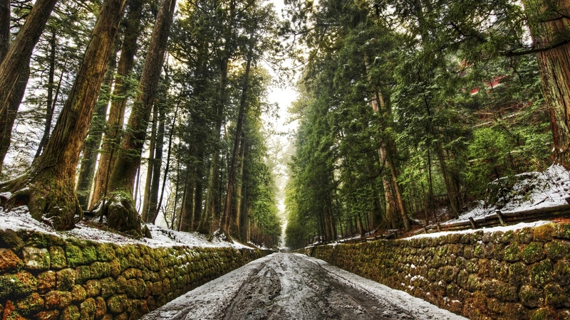 rocks, autumn, grass, woods, beautiful, old, leaves, pine, green, straight, path, beauty, road, forest, bricks, stone walls, sky, trees, winter, snow, nature, snowmelt