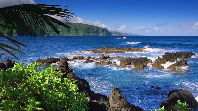 rocks, water, beautiful view, trees, sky