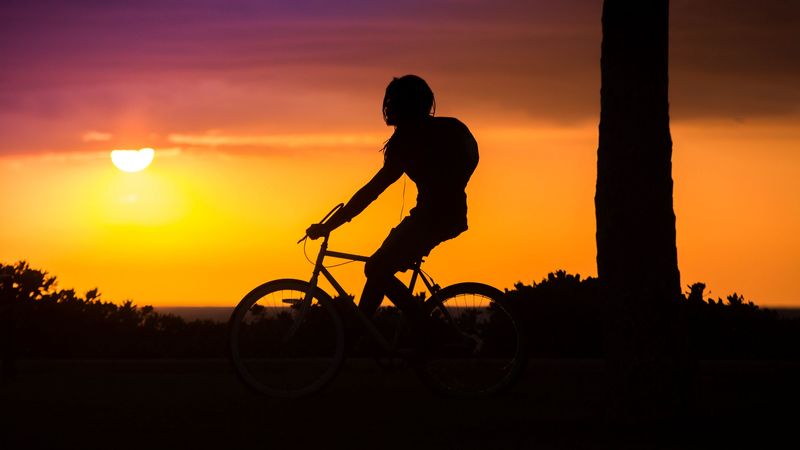 bicyclist, cyclist, silhouette, sunset, bicycle, 4k