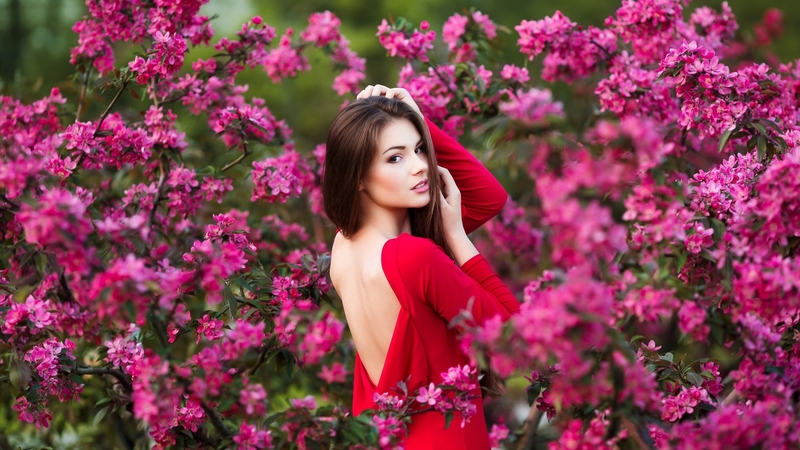 red, girl, model, flower, woman, pink