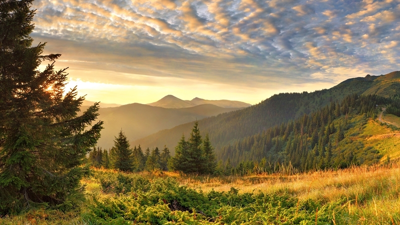 forest, sunset, trees, sky, mountains, nature, sunrise, firefox persona theme, light