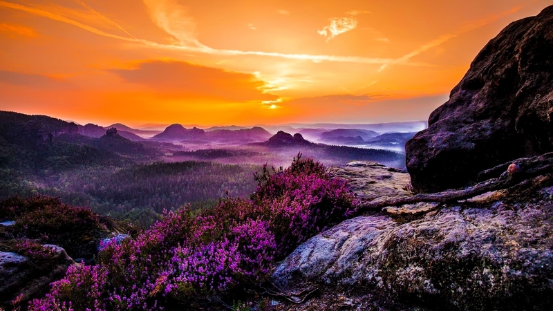 rocks, fiery, beautiful, sunset, sky, valley, mountain, viwew, wildflowers, summer