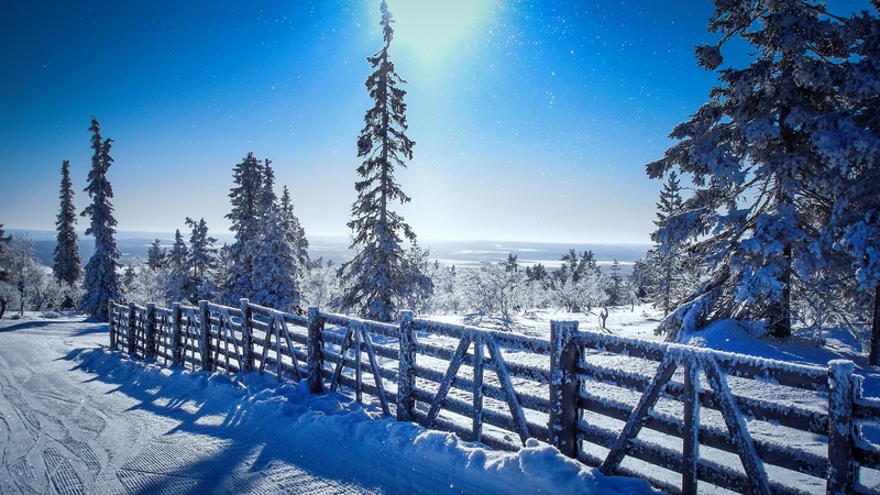 fence, sun, view, beautiful, trees, sky, winter, cold, snow, landscape, frost