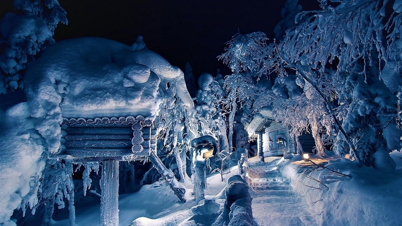 snow, nature, night, winter