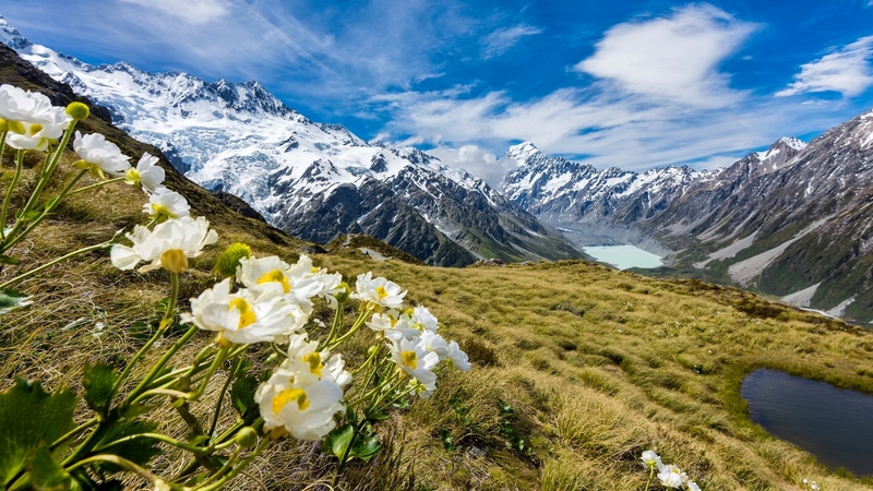 hills, view, grass, beautiful, spring, sky, clouds, snowy, lake, mountain, wildflowers, slope, landscape