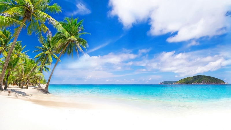 isle, shore, holidays, palm, clouds, sea, palm trees, beach, tropic, skyphoenixx1, vacation, ocean, sky, palms, water, paradise, summer, island, nature, tropical, coast