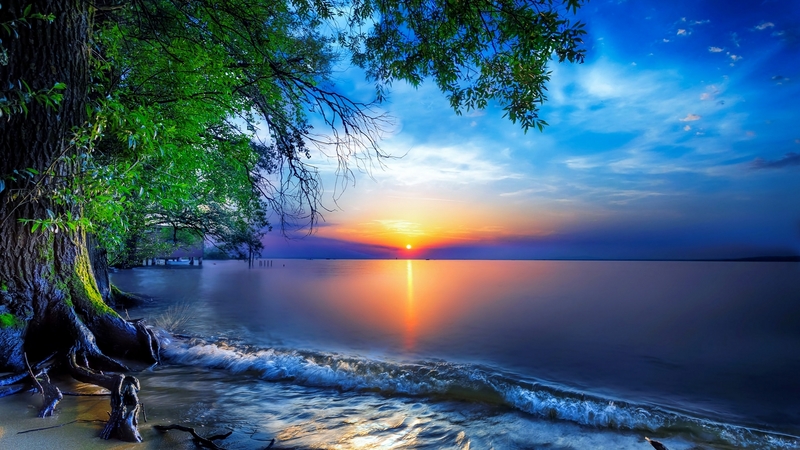 shore, lovely, beautiful, sunset, sky, lake, tree, water, summer, peaceful, mirror, river, reflection