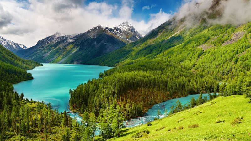 forest, grass, beautiful, trees, sky, clouds, lake, mountains, nature, landscape, blue