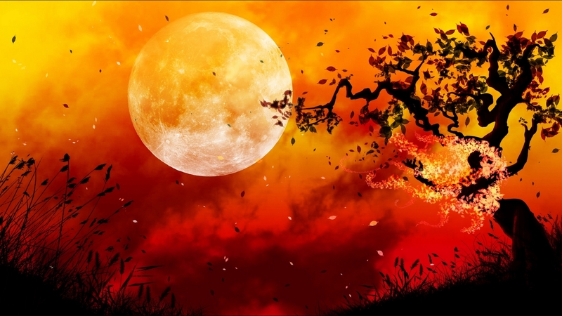 red, autumn, luna, luminos, orange, black, tree, moon, painting, pictura, night