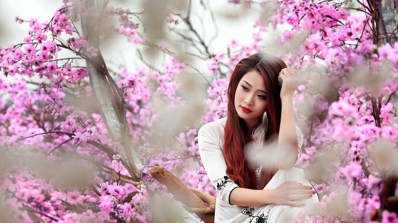 sakura, model, spring, woman, blossom, girl, flower, asian, white