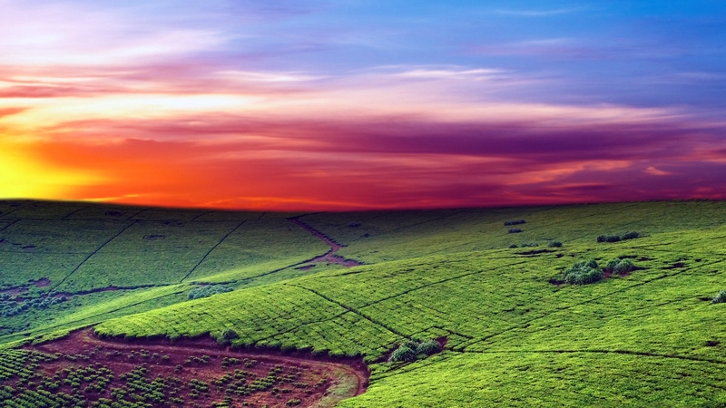 red, colorful, sun, grass, beautiful, sunset, clouds, photography, mounts, beauty, scenery, hill, pink, blue, photo, view, sky, plain, purple, mountains, nature
