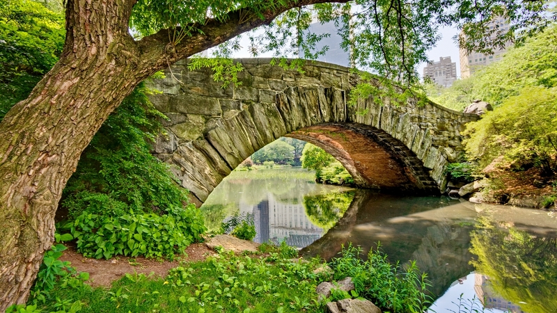 greenery, beautiful, trees, city, new york, central park, stone, bridge, summer, river, reflection, scene