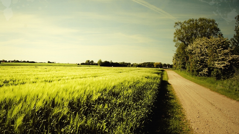 grass, beautiful, trees, sky, clouds, green, nature, fields, road