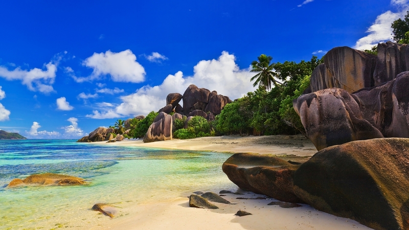 sea, summer, paradise, fantastic, beach, palm tree