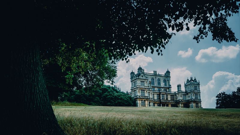 castle, palace, manor, nottingham, park, house, grass, tree, 4k