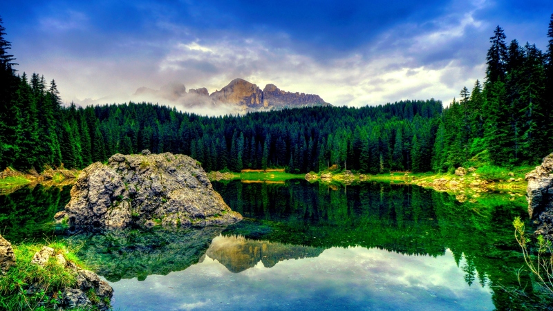 stone, green, rock, pines, lake