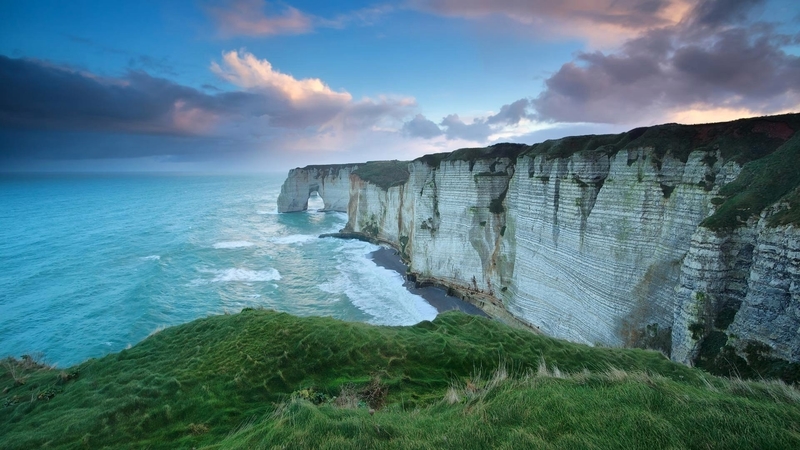 cliff, tree, nature, coast